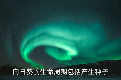 向日葵生长周期，向日葵的生命周期包括产生种子