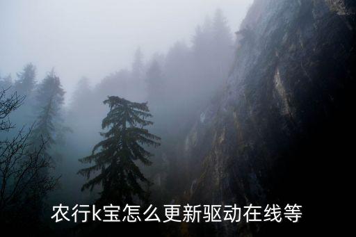 农业k宝驱动怎么更新，中国农业银行K宝驱动怎么更新