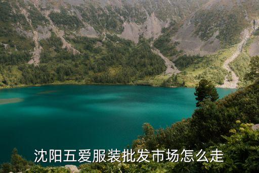 沈阳五爱服装批发市场怎么走