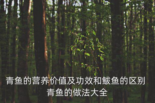 青鱼图片大全大图，回族满族蒙古族水族资料及图片