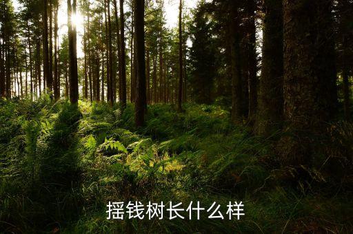 揺钱树长什么样