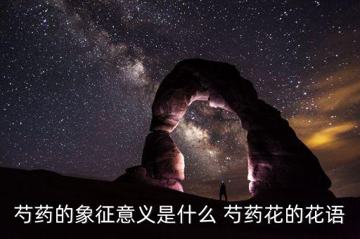 芍药的象征意义是什么 芍药花的花语