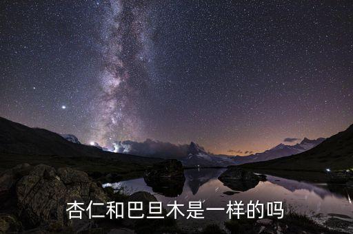 杏仁和巴旦木是一样的吗