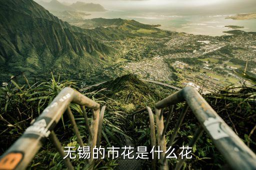 无锡市花，无锡市花是什么花