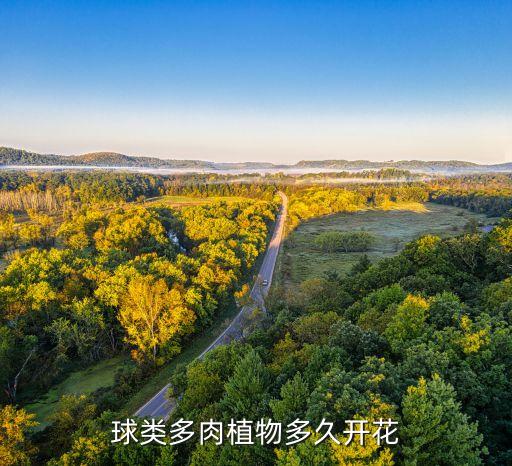 多肉会开花吗，多肉会开花吗会象征意义