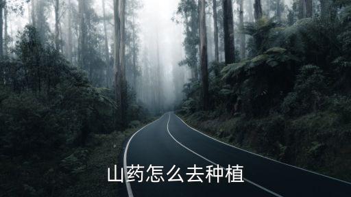 山药怎么种植方法，山药的种植技术