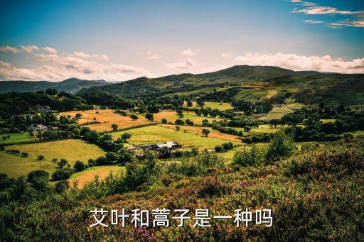 艾叶和蒿子是一种吗