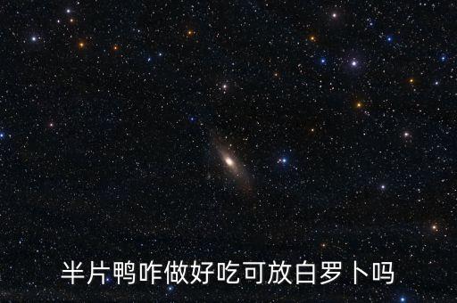 半片鸭咋做好吃可放白罗卜吗