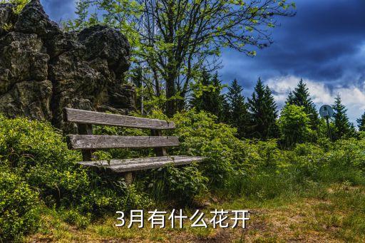 3月有什么花开