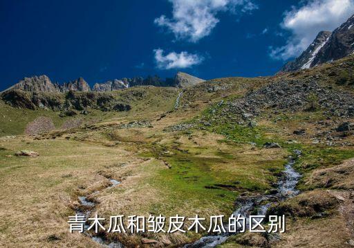 皱皮木瓜，青木瓜和皱皮木瓜的区别
