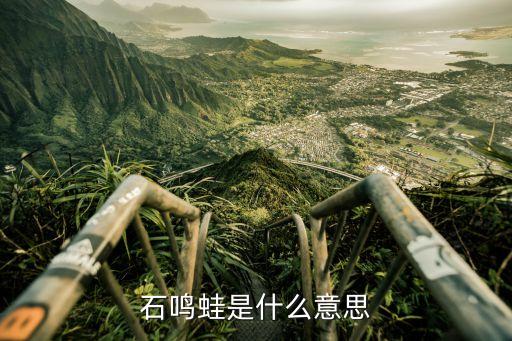 石麟蛙，石麟蛙该怎么煮呢给孩子吃的