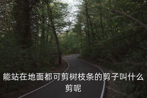 剪树枝的剪刀，一般用来剪树的剪子是什么剪子那种牌子的好急求答案