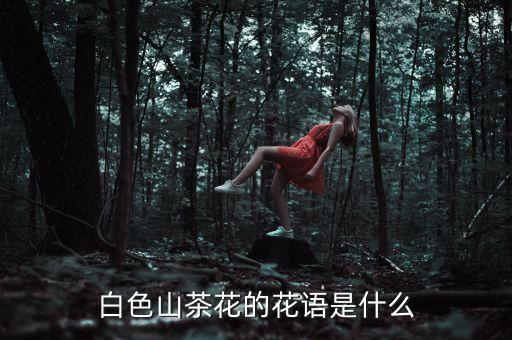山茶花白色，红色山茶花白色山茶花你更喜欢哪个