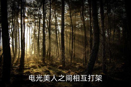 电光美人之间相互打架