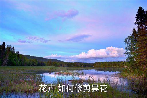 花卉 如何修剪昙花