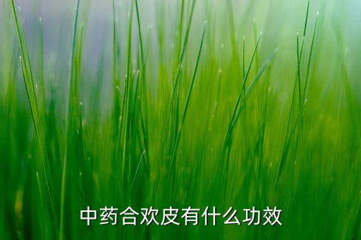 中药合欢皮有什么功效