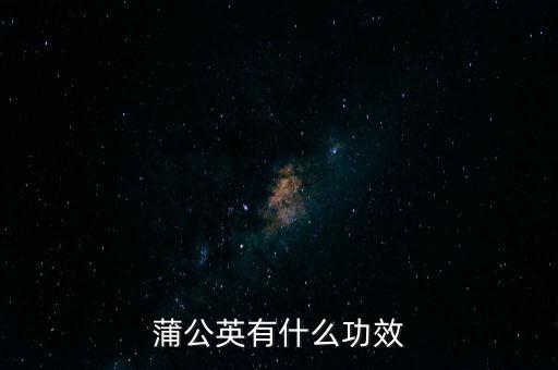 蒲公英花的功效与作用，蒲公英有什么功效