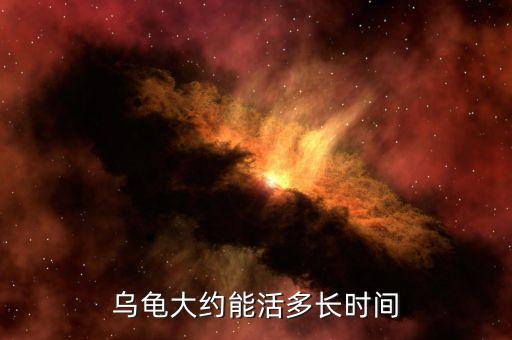 草龟能活多久，乌龟可以活几年
