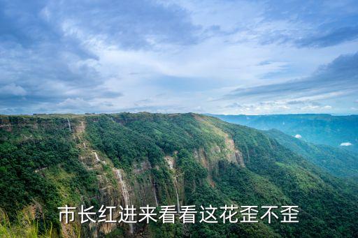 市长红，市长红进来看看这花歪不歪