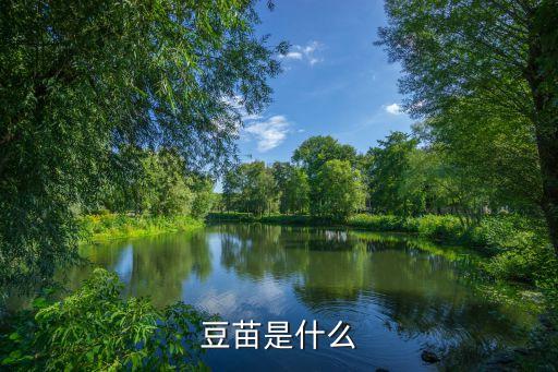 豆苗是什么