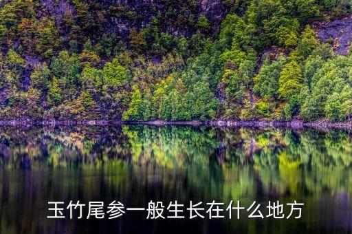 玉竹尾参一般生长在什么地方