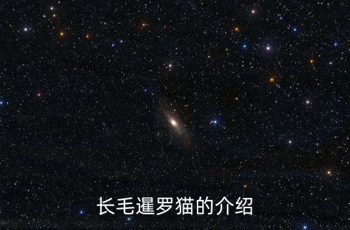 长毛暹罗猫的介绍