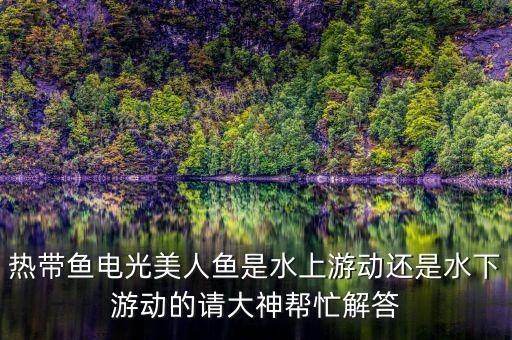 热带鱼电光美人鱼是水上游动还是水下游动的请大神帮忙解答