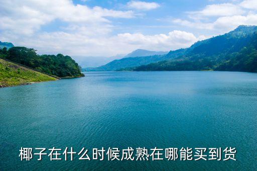 椰子在什么时候成熟在哪能买到货