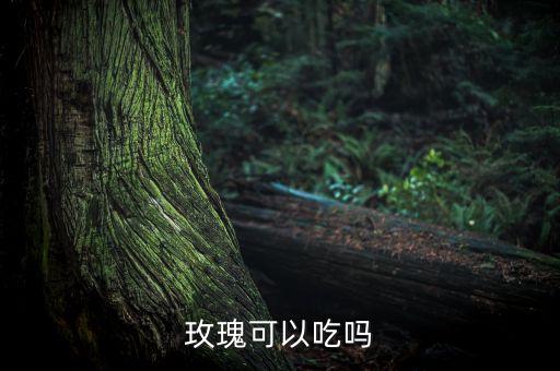 玫瑰花可以吃吗，玫瑰花可以吃吗