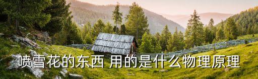 喷雪花的东西 用的是什么物理原理