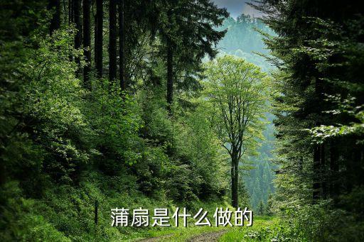 蒲扇是什么做的