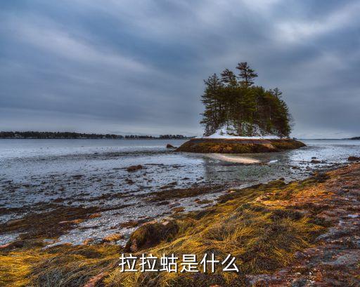 拉拉蛄是什么