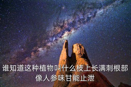 谁知道这种植物叫什么枝上长满刺根部像人参味甘能止泄