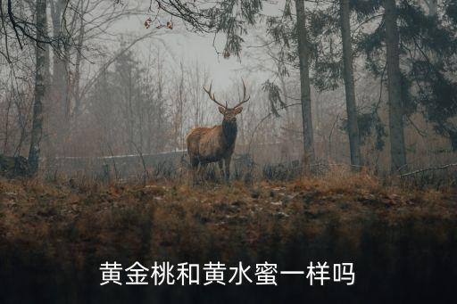 黄金桃和黄水蜜一样吗