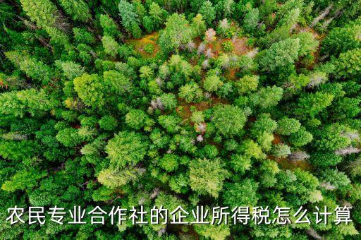 农民专业合作社的企业所得税怎么计算