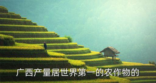 广西产量居世界第一的农作物的