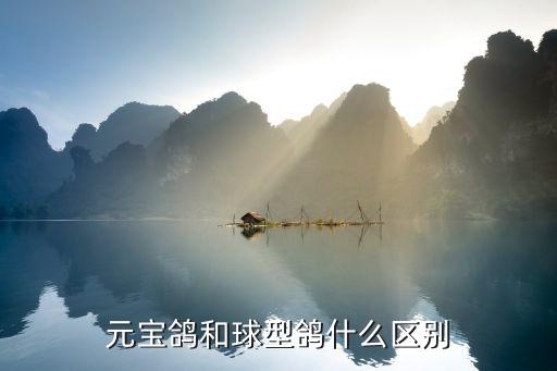 元宝鸽和球型鸽什么区别