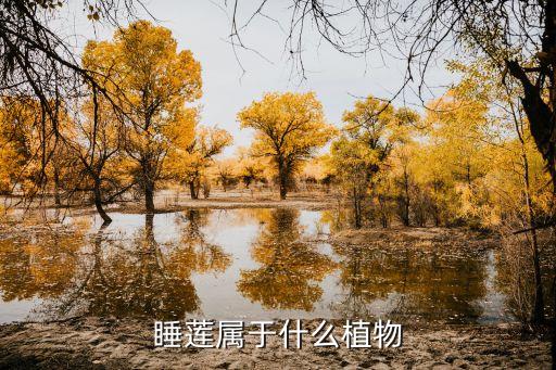 睡莲属于什么植物