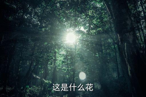 扫帚梅，有一种常见的花俗称扫帚梅的请问其学名叫什么