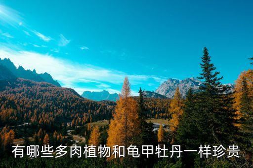 有哪些多肉植物和龟甲牡丹一样珍贵
