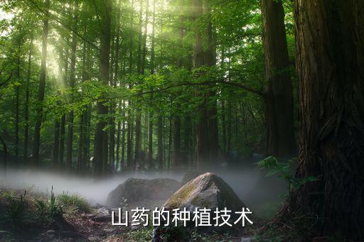 山药的种植技术