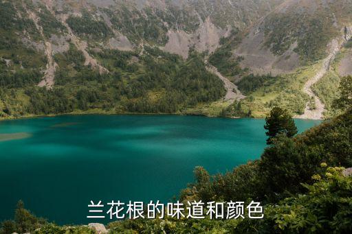 兰花根的味道和颜色