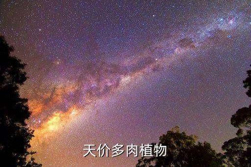天价多肉植物