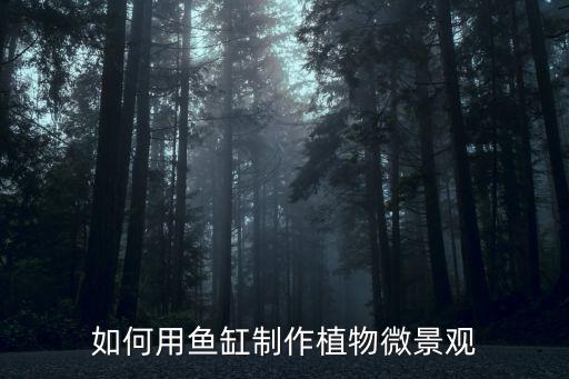 如何用鱼缸制作植物微景观