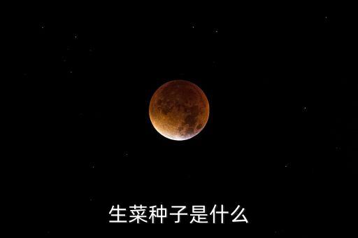 生菜种子是什么