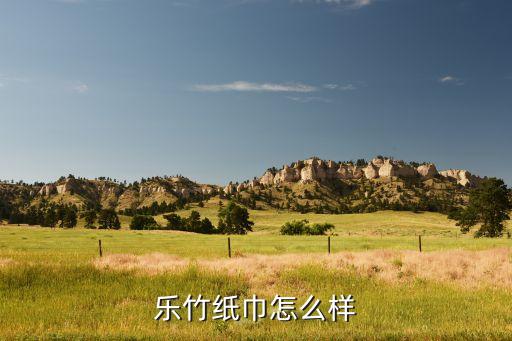 乐竹纸巾怎么样