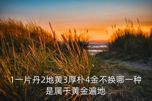 黄金草药图片，1一片丹2地黄3厚朴4金不换哪一种是属于黄金遍地