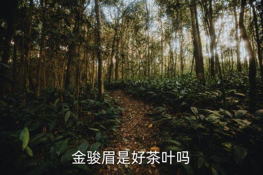 金骏眉是好茶叶吗