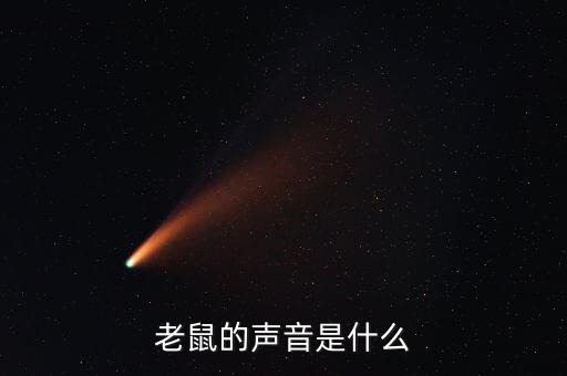 老鼠怎么叫，老鼠是怎么叫的不是吱吱