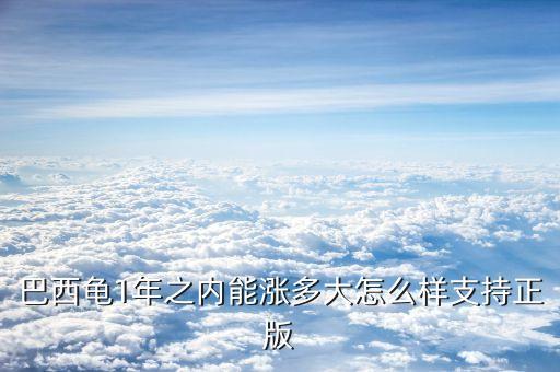 乌龟一年能长多大，23里米的龟苗养一年有多大
